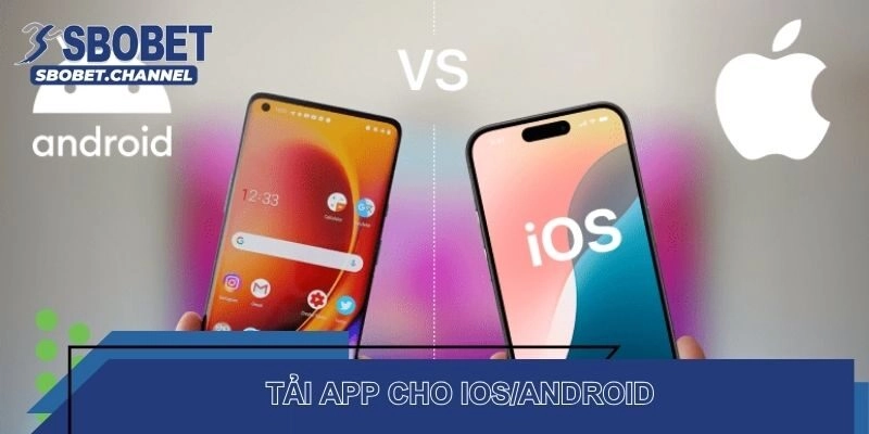 Hướng Dẫn Tải App SBOBET Nhanh Giải Trí Tiện Lợi Mọi Lúc - Nudosi