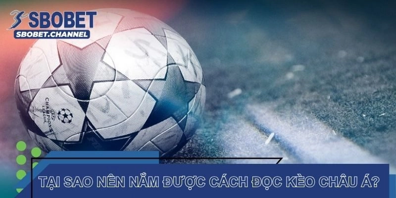 Bật Mí Cách Đọc Kèo Châu Á Chuẩn Chỉnh Như Cao Thủ - Nudosi