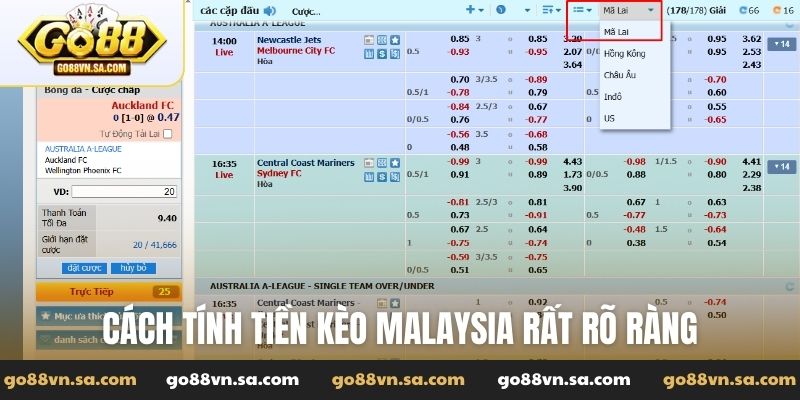 Kèo Mã Lai là gì? Bí kíp chơi kèo cược Malaysia chuẩn - Nudosi