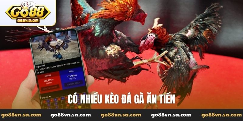 Đá gà ăn tiền là gì? Cách tham gia cá cược đá gà ăn tiền - Nudosi