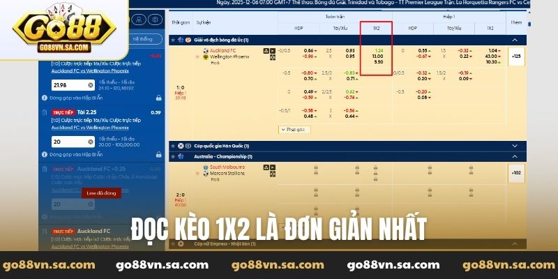 Kèo Châu Âu là gì? Hướng dẫn đọc 1x2 chuẩn chỉnh nhất - Nudosi