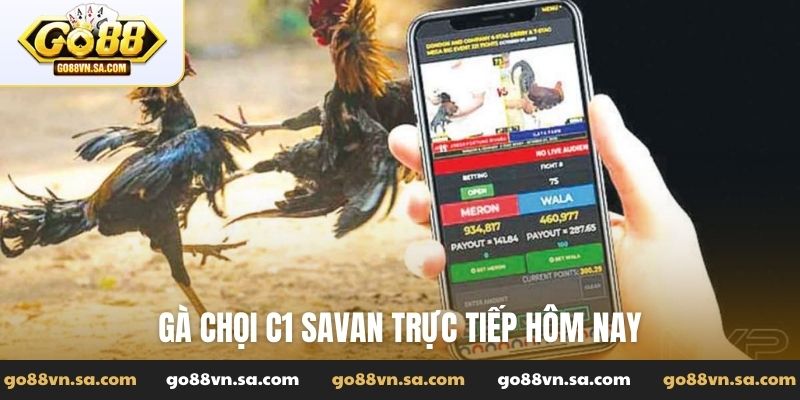 Đá Gà Go88: Tường thuật các trận đấu đỉnh cao, kiến thức hay - Nudosi