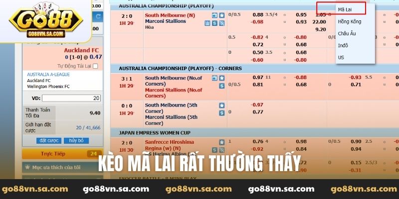 Kèo Mã Lai là gì? Bí kíp chơi kèo cược Malaysia chuẩn - Nudosi