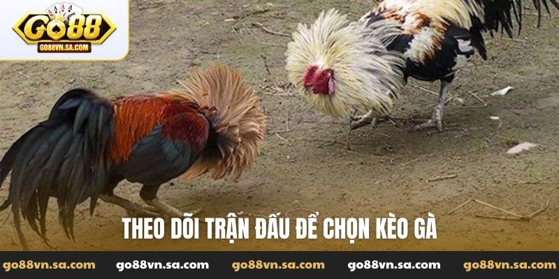 Đá gà ăn tiền là gì? Cách tham gia cá cược đá gà ăn tiền - Nudosi