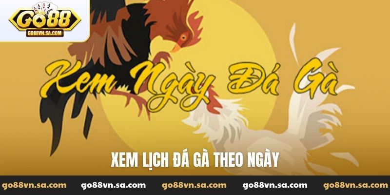 Đá Gà Go88: Tường thuật các trận đấu đỉnh cao, kiến thức hay - Nudosi