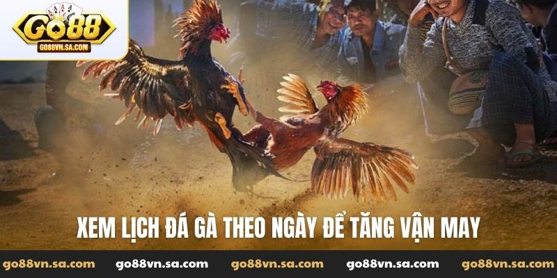Xem lịch đá gà theo ngày - Bí mật thắng lớn liên tiếp - Nudosi