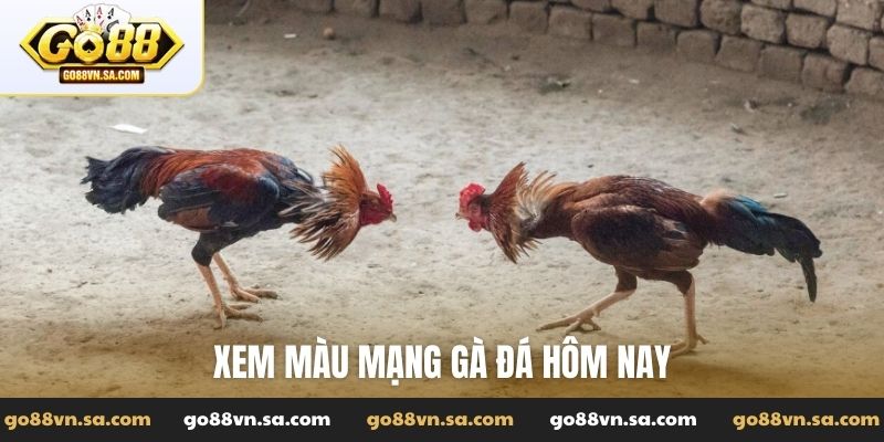 Đá Gà Go88: Tường thuật các trận đấu đỉnh cao, kiến thức hay - Nudosi