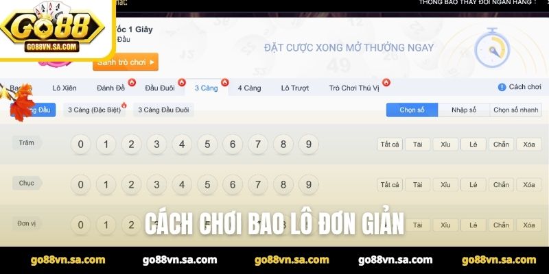 Xổ số bao lô là gì? Những chiến thuật giúp chơi hiệu quả - Nudosi
