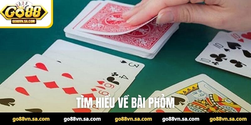 Cách chơi bài Phỏm và 8 thuật ngữ phỏm cần ghi nhớ - Nudosi