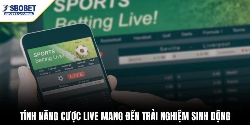 Sbobet - Link Chơi Thể Thao Sbobet baskia Mobile & PC - Nudosi