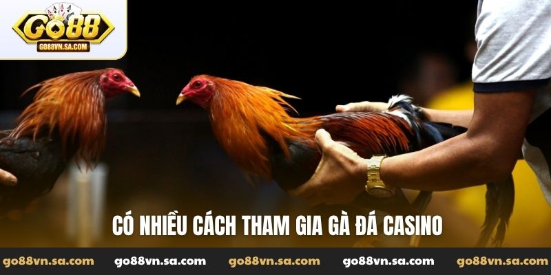 Gà đá casino - Đặt kèo cược đỉnh với các trận chiến nảy lửa - Nudosi