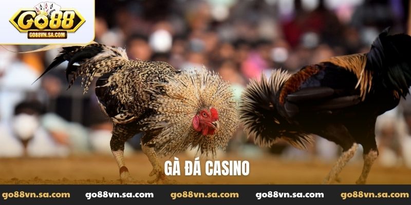 Đá Gà Go88: Tường thuật các trận đấu đỉnh cao, kiến thức hay - Nudosi