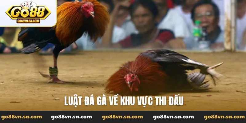Luật đá gà và những quy tắc vàng để chơi đúng chuẩn - Nudosi