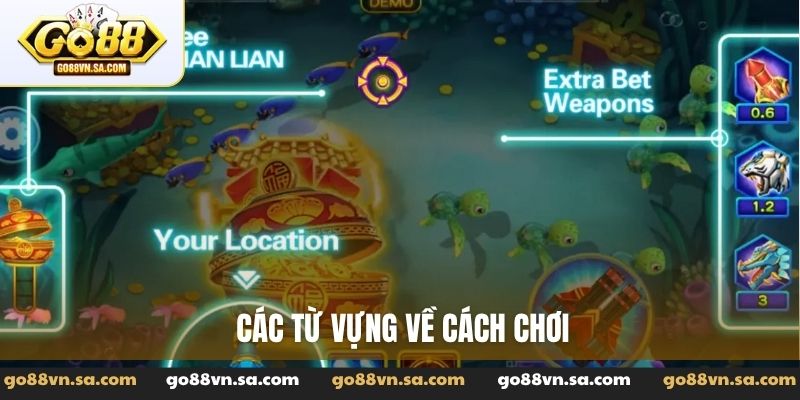 Thuật ngữ bắn cá - Kho từ vựng cần biết khi săn thưởng - Nudosi