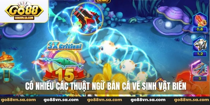 Thuật ngữ bắn cá - Kho từ vựng cần biết khi săn thưởng - Nudosi