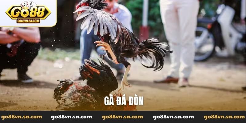 Đá Gà Go88: Tường thuật các trận đấu đỉnh cao, kiến thức hay - Nudosi