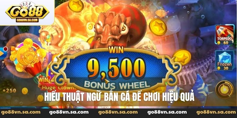Thuật ngữ bắn cá - Kho từ vựng cần biết khi săn thưởng - Nudosi