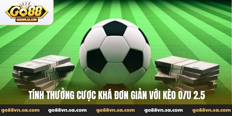 Tài xỉu 2.5 là gì? Cách đọc kèo O/U 2 1/2 trái trong bóng đá - Nudosi